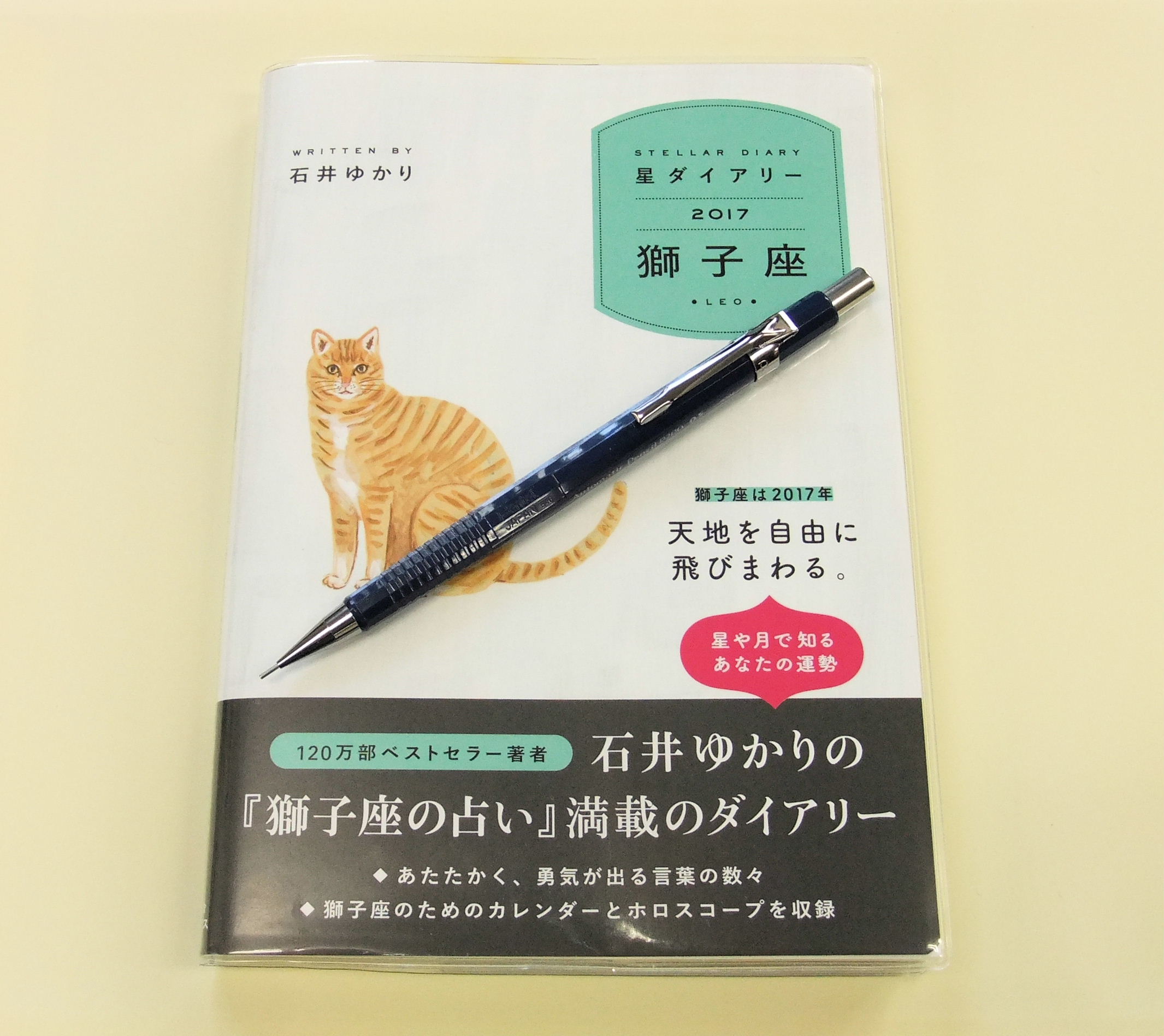 猫町と星ダイアリー（使い方と使用筆記具）。_f0220714_22351835.jpg