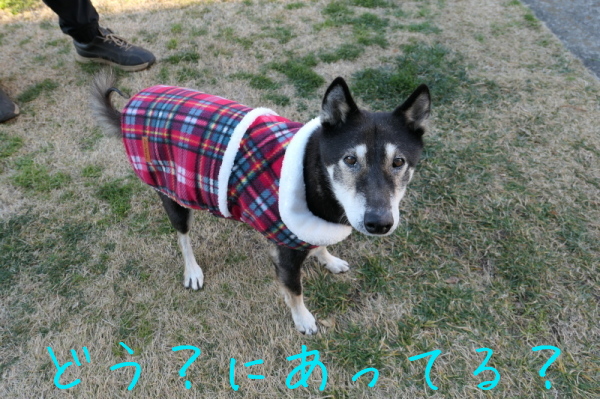 f0369014_13415740.jpg