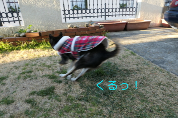 f0369014_13532151.jpg