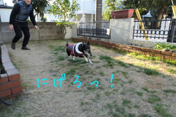 f0369014_13593510.jpg