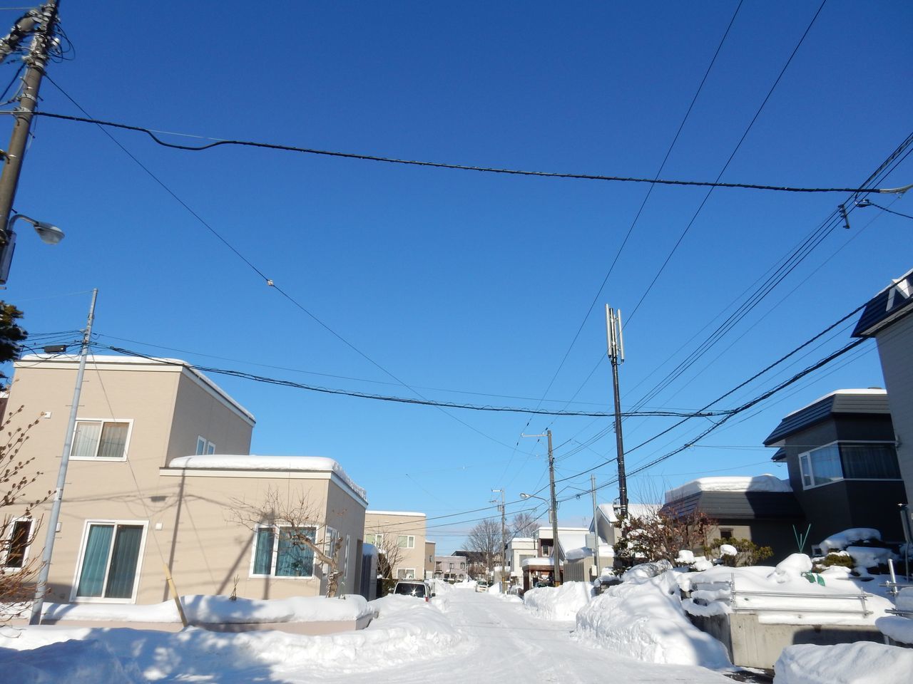 大寒を越えて_c0025115_20370047.jpg