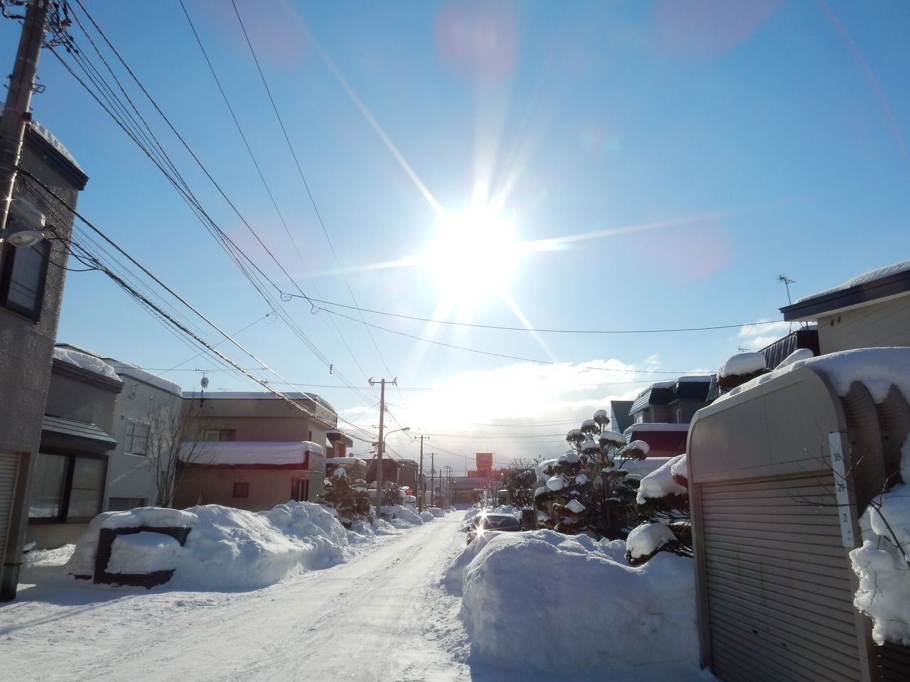 大寒を越えて_c0025115_20383737.jpg