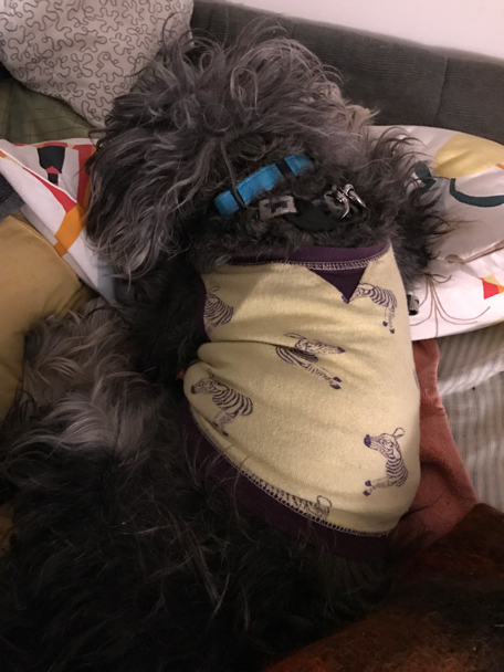 c0156021_17481880.jpg