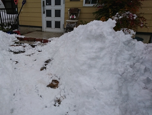 c0013922_14093679.jpg