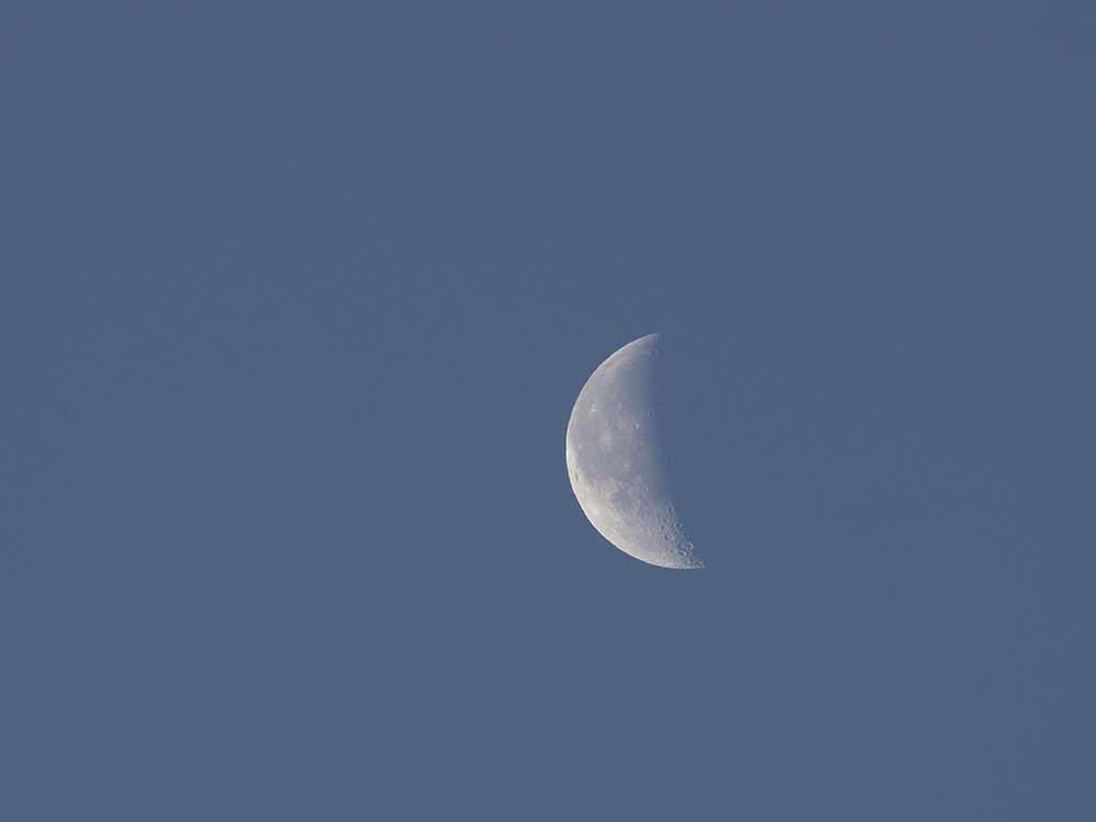 f0324026_10112632.jpg