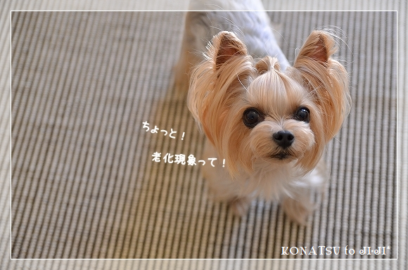 d0179828_20105686.png