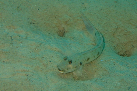 b0100730_19202014.jpg