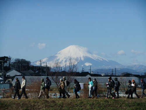 野鳥観察..観梅..散策です。_b0137932_23560097.jpg