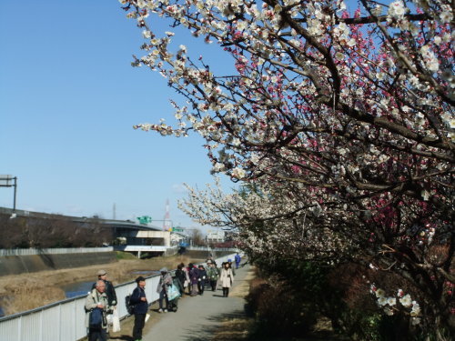 b0137932_23590900.jpg