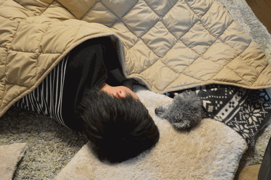 c0136736_00410383.gif