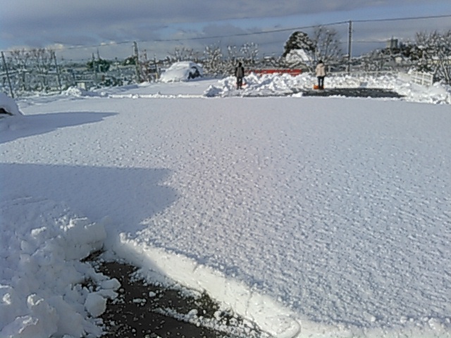 a0111637_18171070.jpg