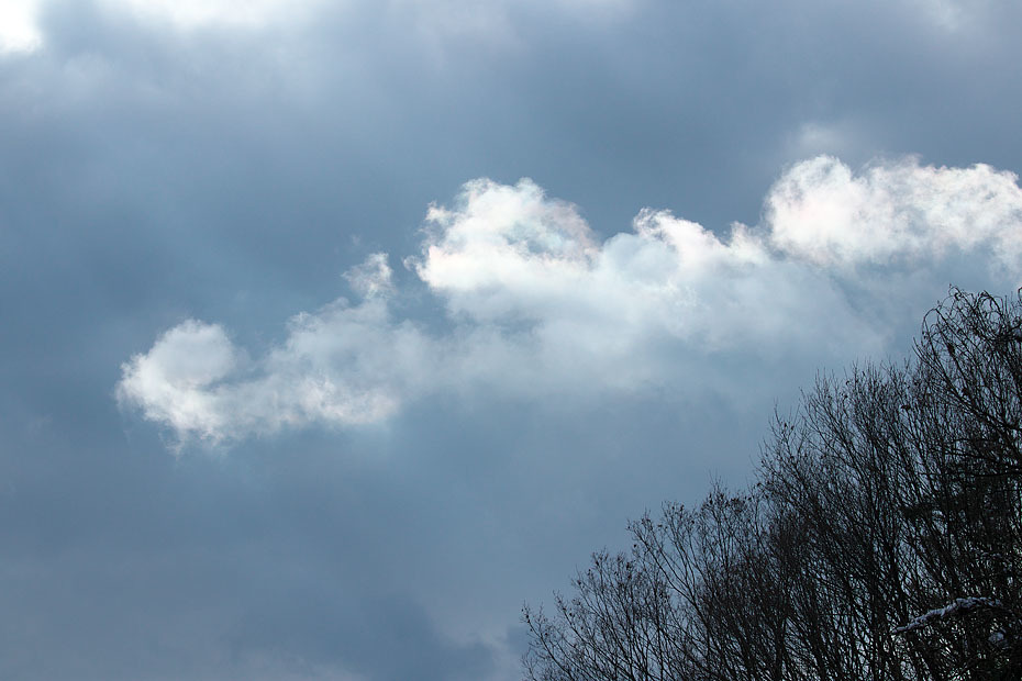 雨上がる、雪上がる　（写真部門）_c0067040_22463868.jpg