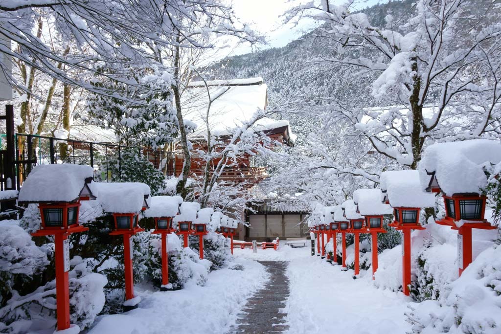 雪の鞍馬山(4)@2017-01-15_d0250840_12415537.jpg