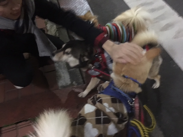 c0266644_0322314.jpg