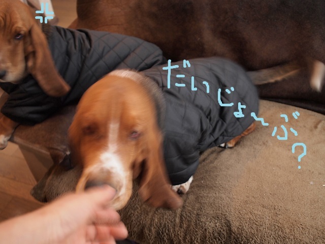 a0299945_16444994.jpg