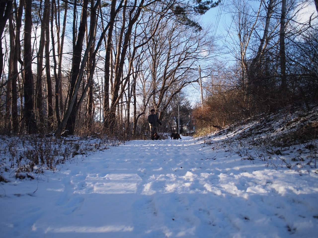 a0299945_17154501.jpg