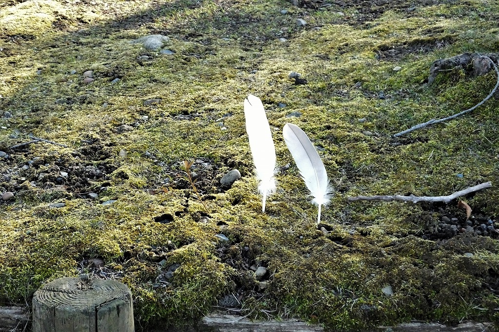 b0236251_10354929.jpg