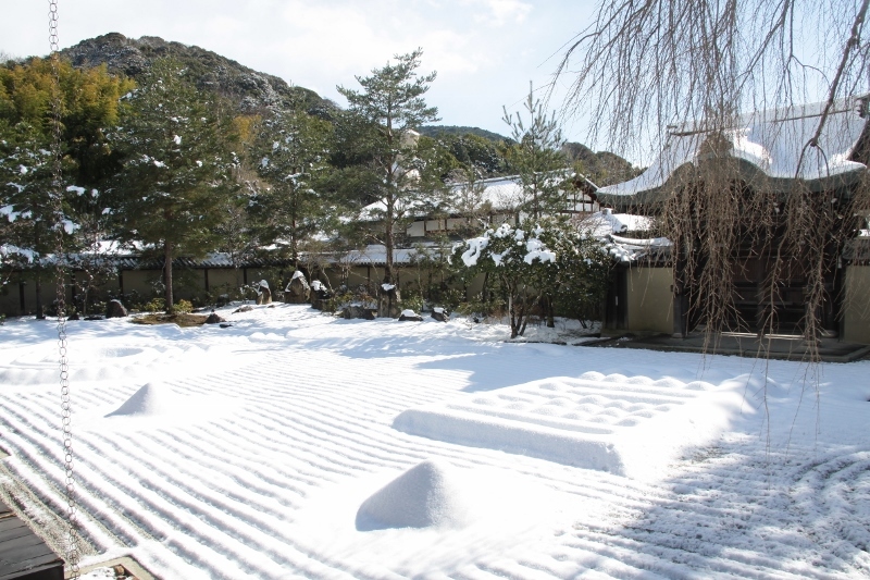 雪 京都 高台寺の庭 浜千鳥写真館