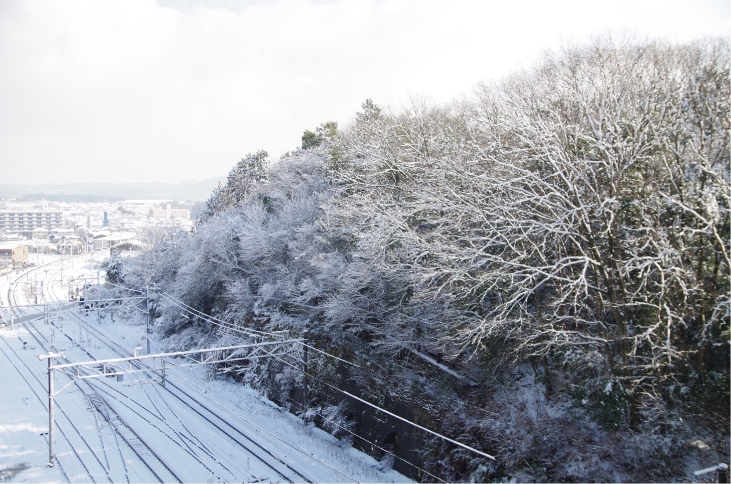 [撮影] また雪景色_a0021757_12172918.jpg