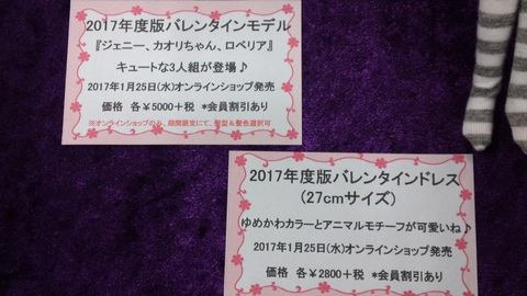 2017.01.21 キャッスルファミリーイベント_b0242757_2250467.jpg