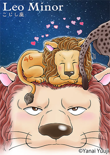 こじし座 小獅子座 Leo Minor きままにマンガみち