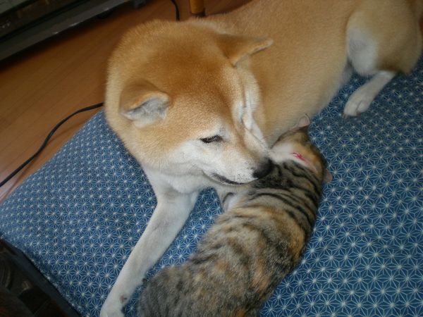 ’17,1,21(土)早く風邪から解放された~~~い!_f0060461_13493646.jpg
