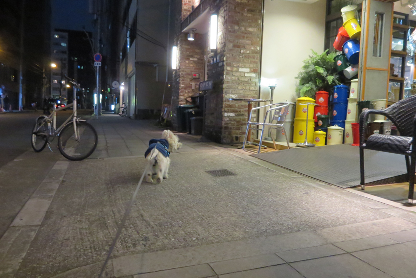 1ねん遅れの投稿。_b0107163_23302441.jpg