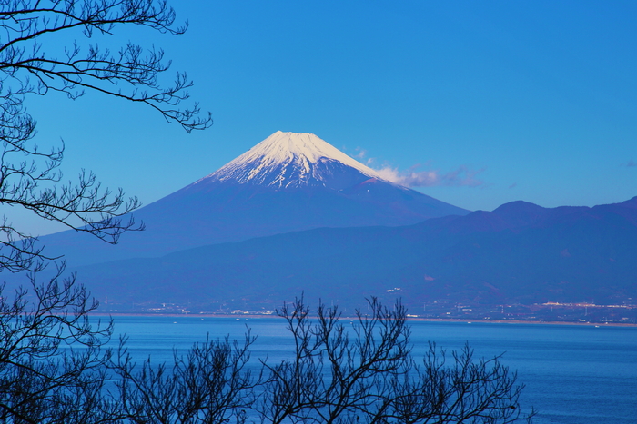 駿河湾の富士山　12/10（19）_b0232463_819383.jpg