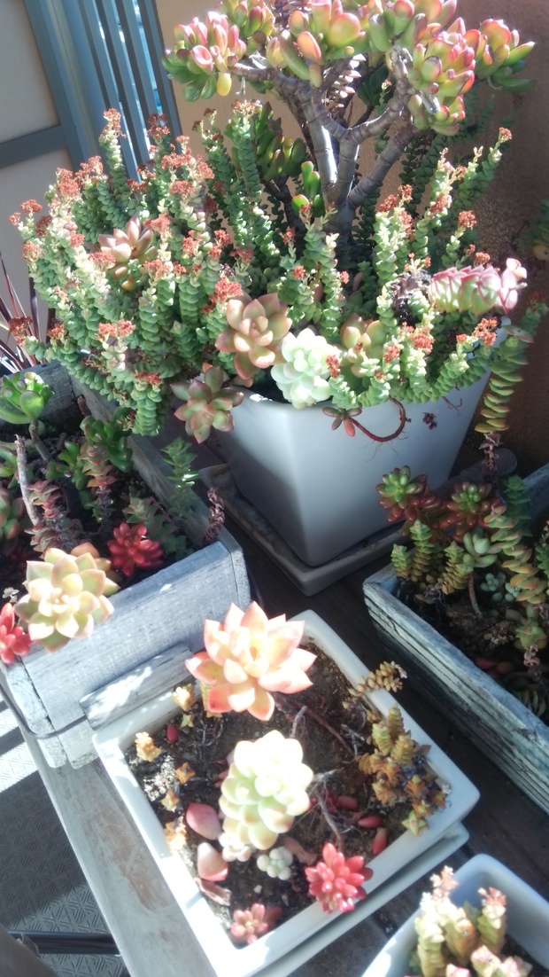 c0145763_11435869.jpg