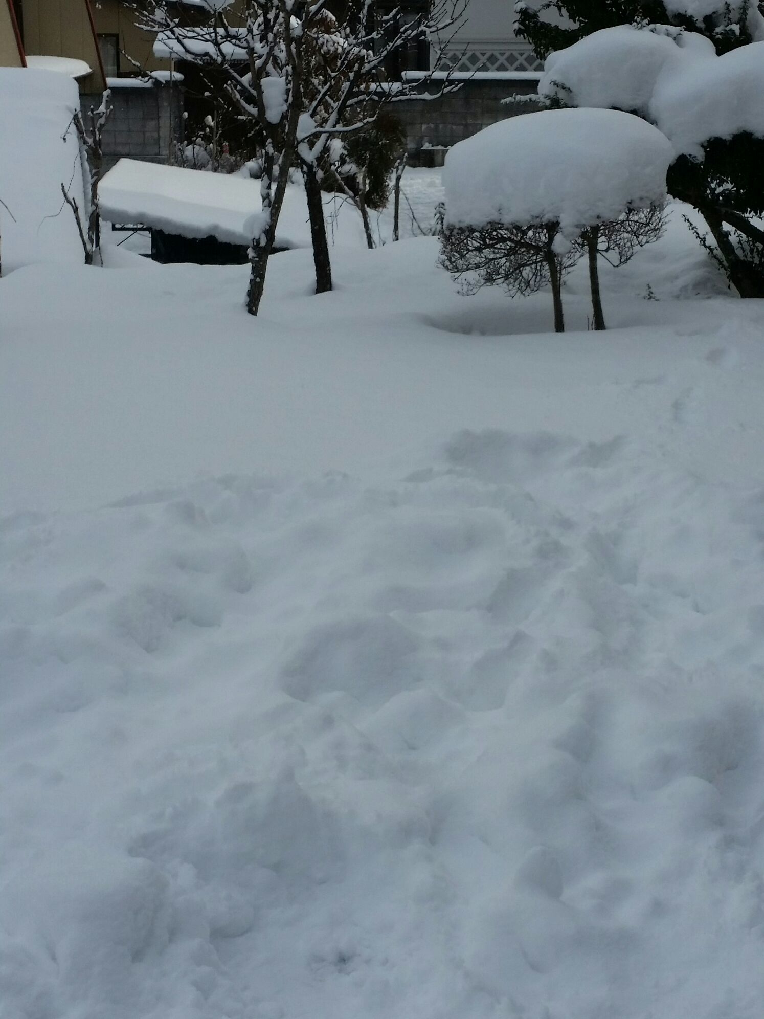 雪遊び_a0272765_17205975.jpg
