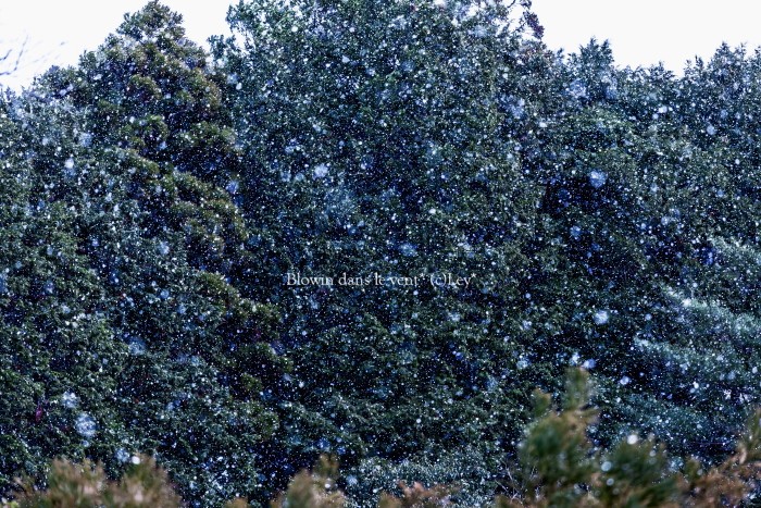 f0251765_1441507.jpg