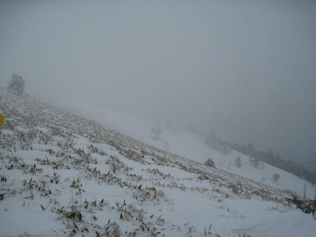 c0219866_194382.jpg