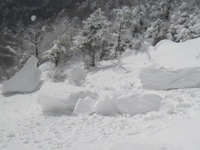 c0219866_1962455.jpg