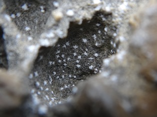 c0018489_23202298.jpg