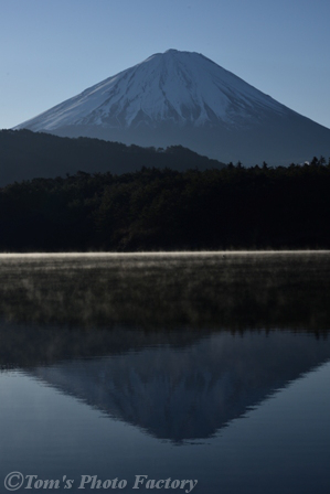 霧の西湖から、富士山を仰ぎ見る _b0155692_2230797.jpg