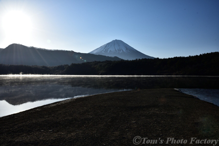 霧の西湖から、富士山を仰ぎ見る _b0155692_2262264.jpg