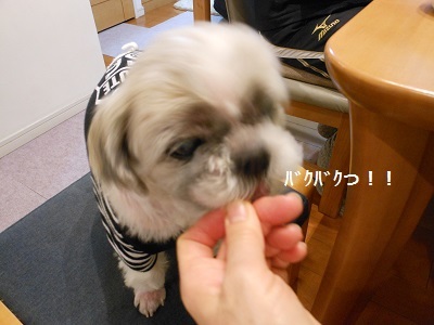 f0372998_20100238.jpg