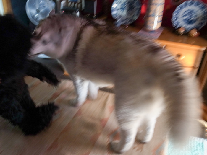 c0049299_08274750.jpg