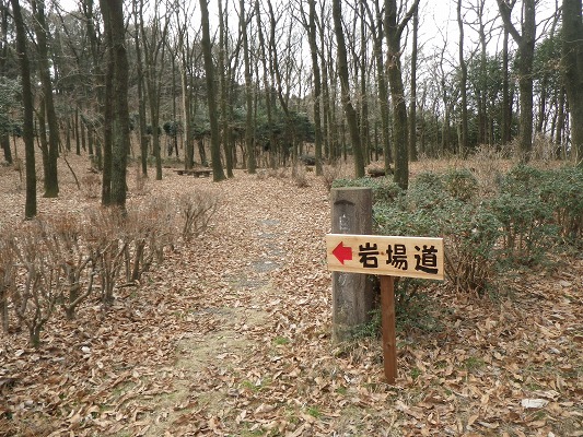 f0187402_13551216.jpg