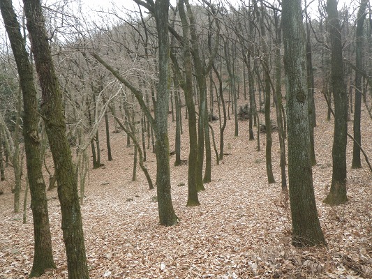 f0187402_13552218.jpg