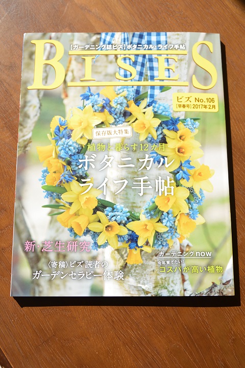 BISES休刊_d0117404_14115164.jpg