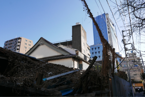 ぶらり京王線を歩く 初台〜明大前 最後はなぜか三茶_d0147406_14113945.jpg