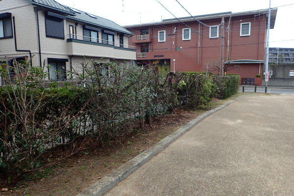 c0367107_12322978.jpg
