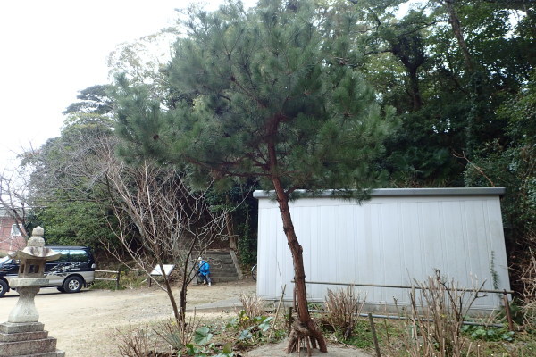 c0367107_12335347.jpg