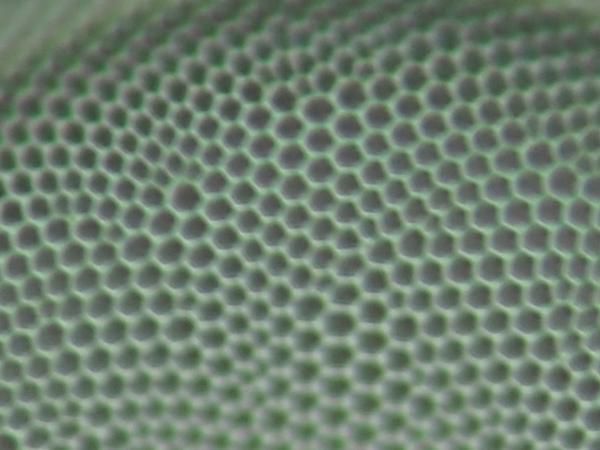 c0164709_16345928.jpg