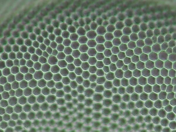 c0164709_16350460.jpg