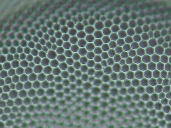c0164709_16413328.jpg