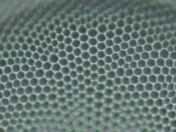 c0164709_16413700.jpg