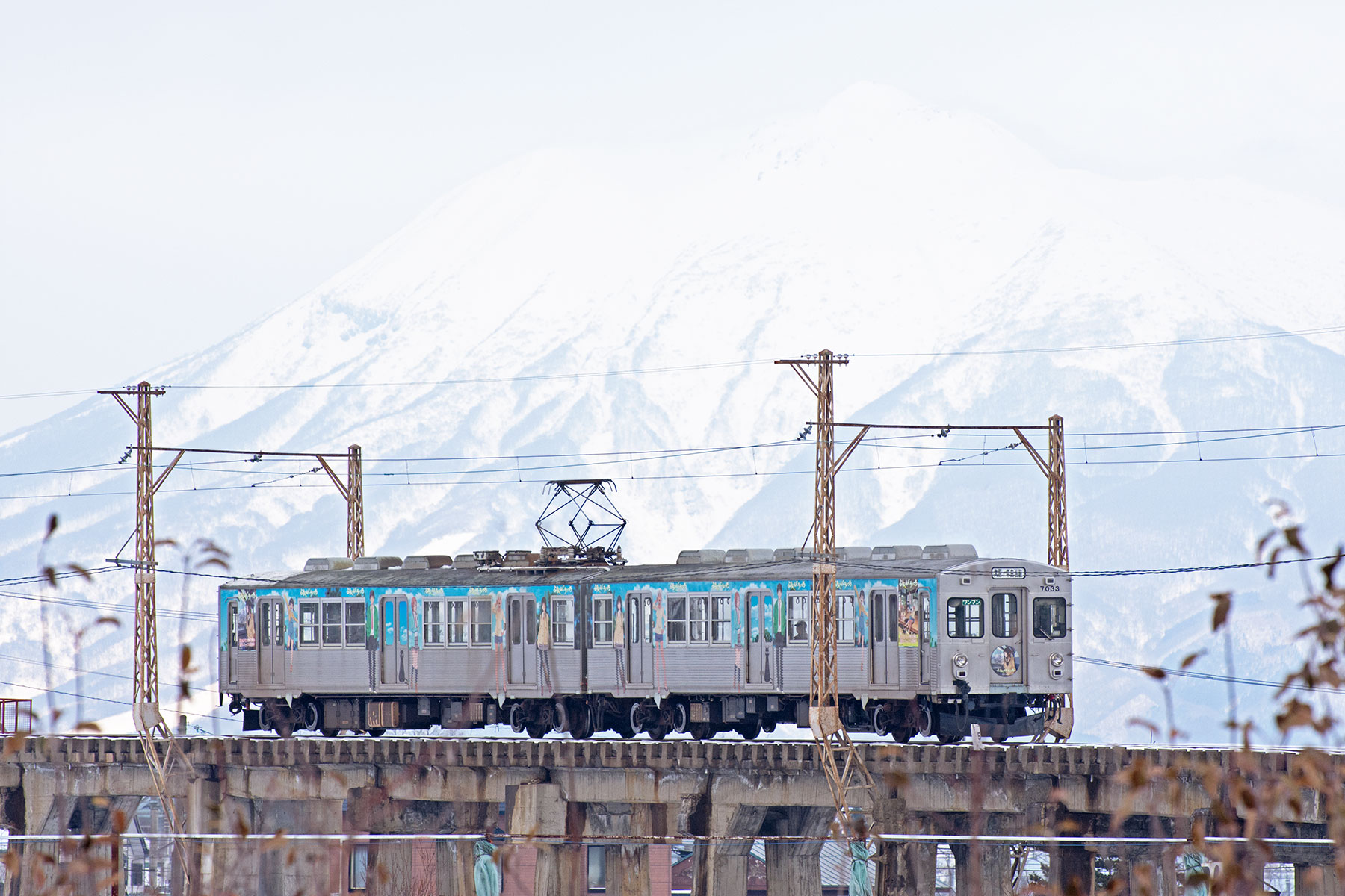 弘南鉄道 7000形 ふらいんぐうぃっちラッピング Sky Lounge Garden Transporter Side