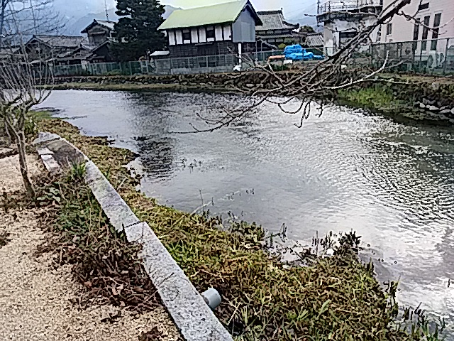 大寒（二十四節気）と西条市の神拝地区の笑歩会 　　2017/1/20_f0231709_047598.jpg